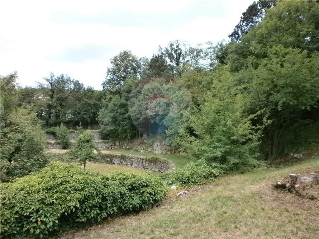 Image 5411089 - 8