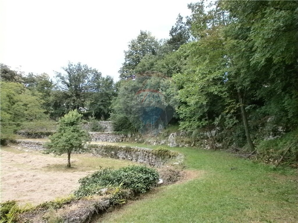 Image 5411089 - 7