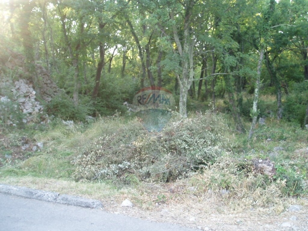 Image 5411154 - 3