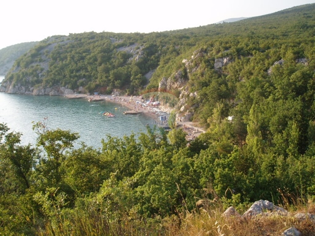 Image 5411154 - 1