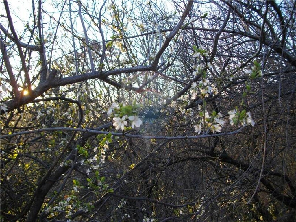Image 5411217 - 8