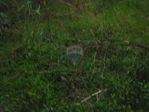 Thumbnail 5411222 - 2