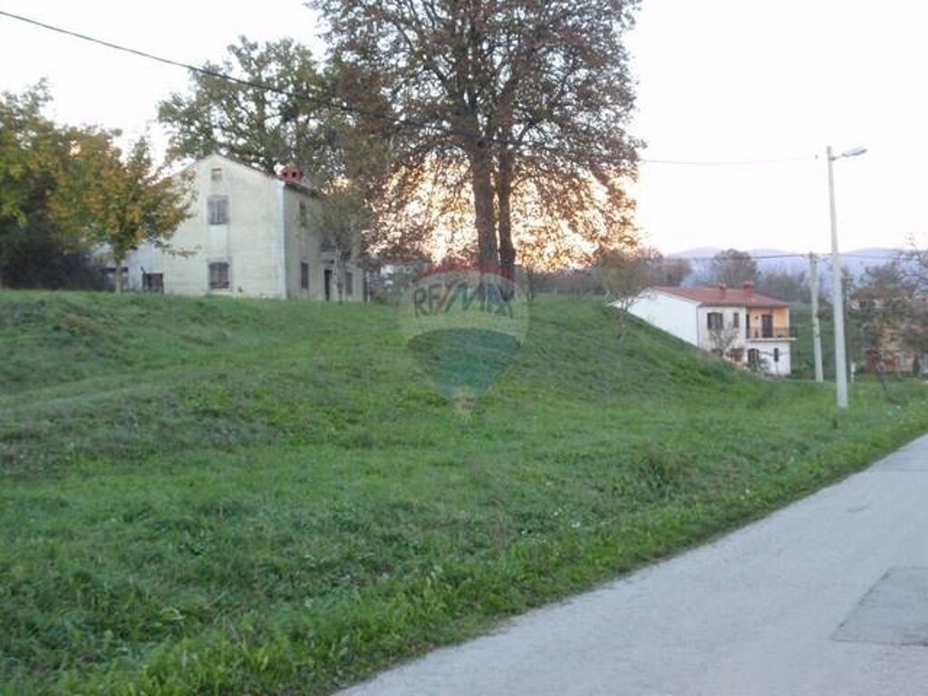 Image 5411256 - 8