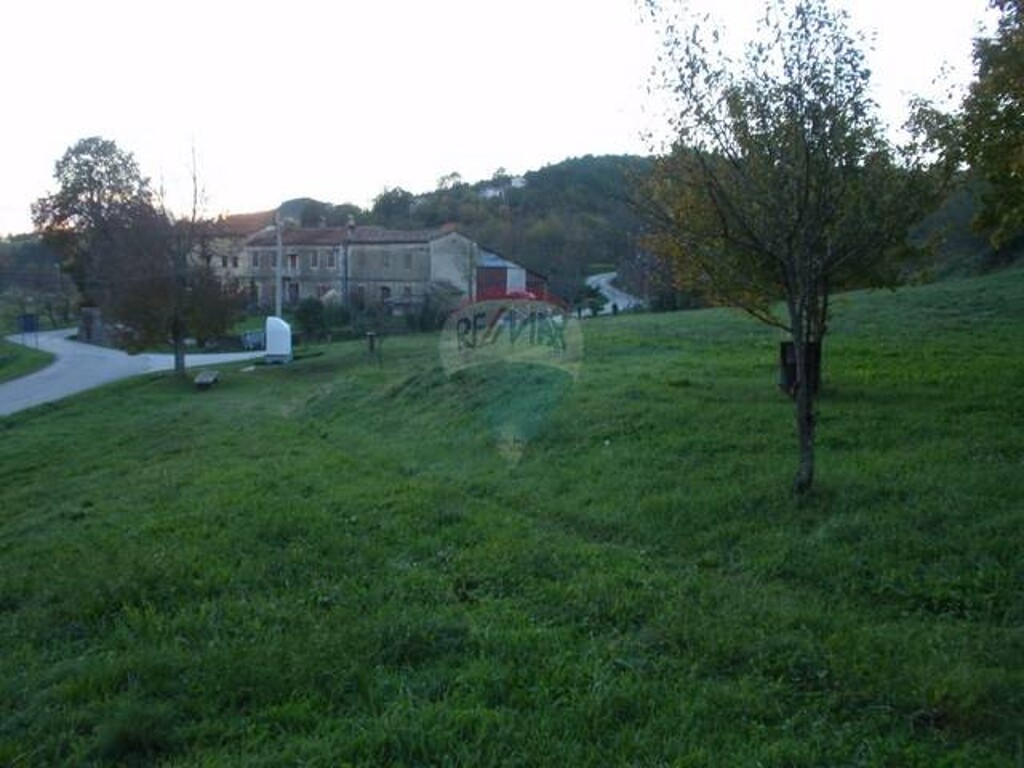 Image 5411256 - 7