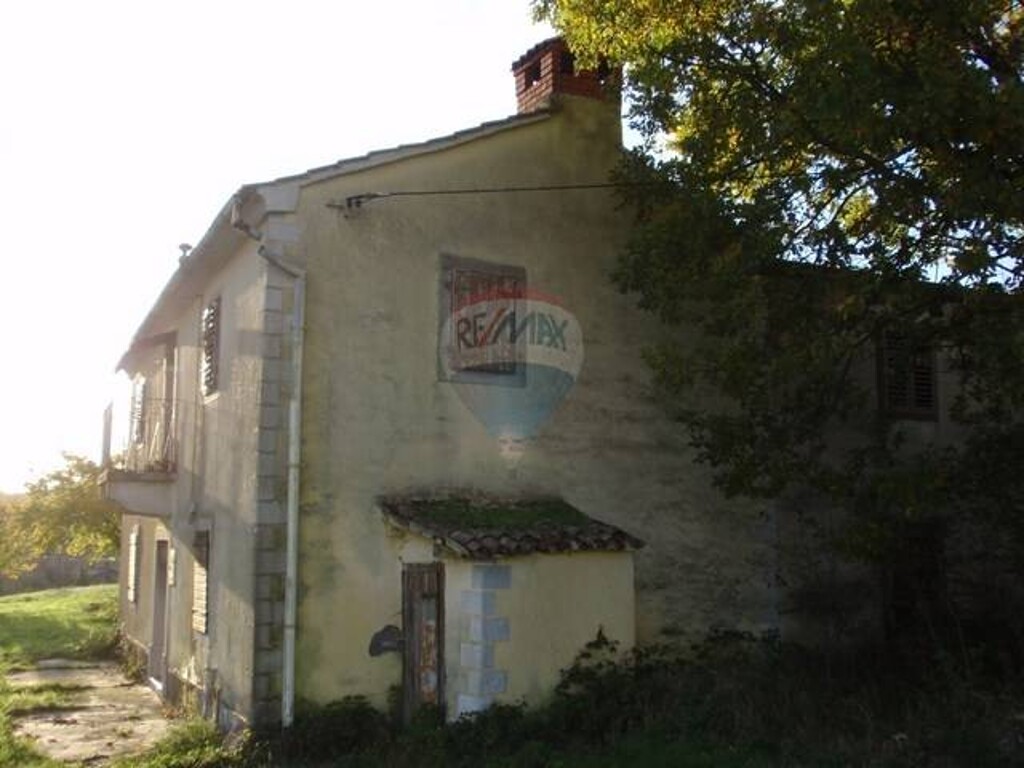 Image 5411256 - 3