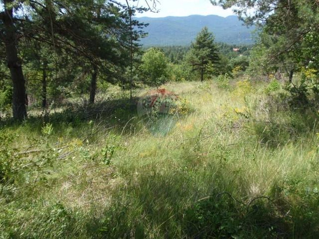 Image 5411299 - 3