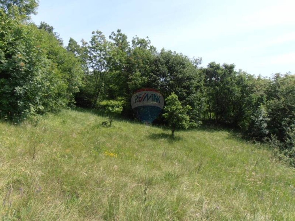 Image 5411310 - 4