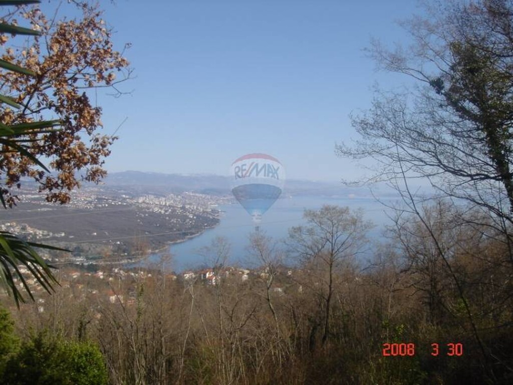 Image 5411320 - 1