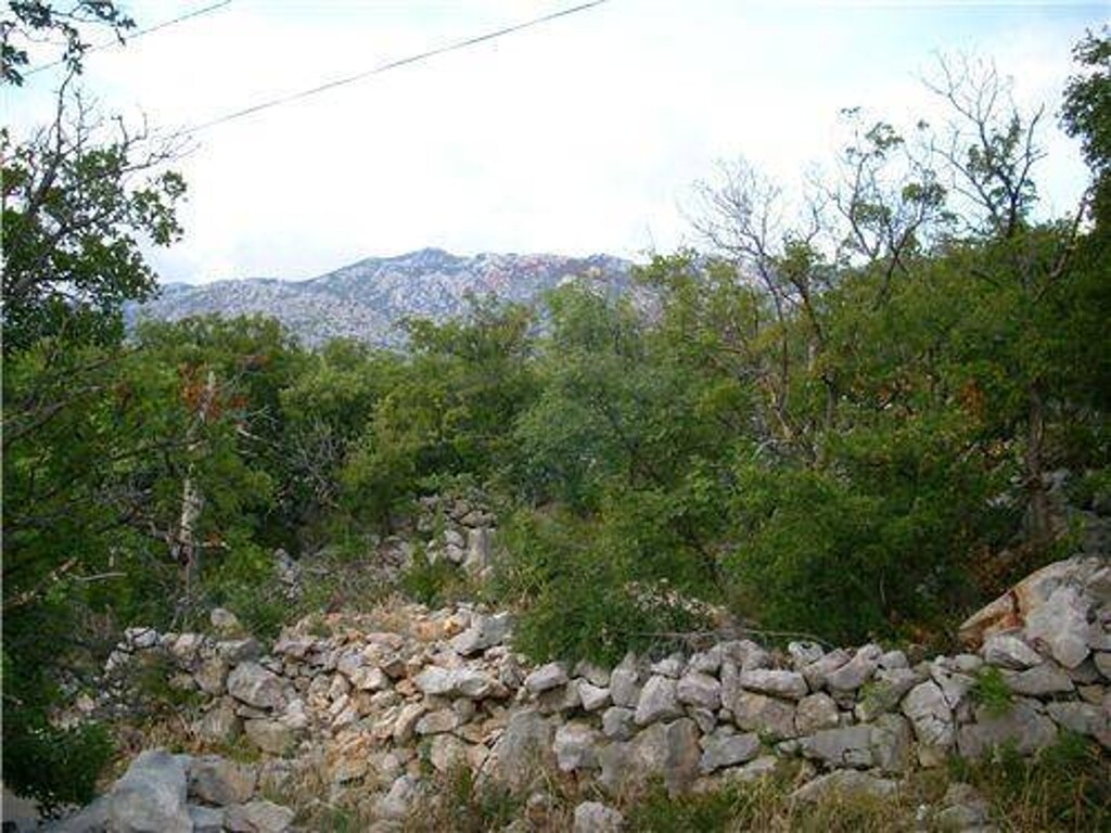 Image 5411430 - 1