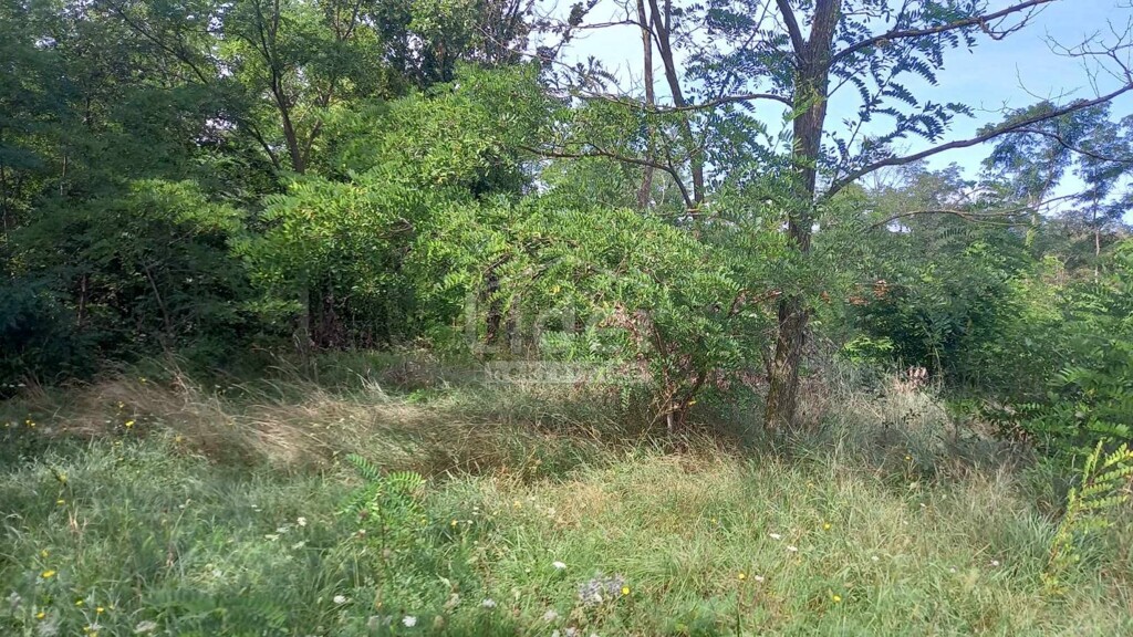 Image 5412100 - 4