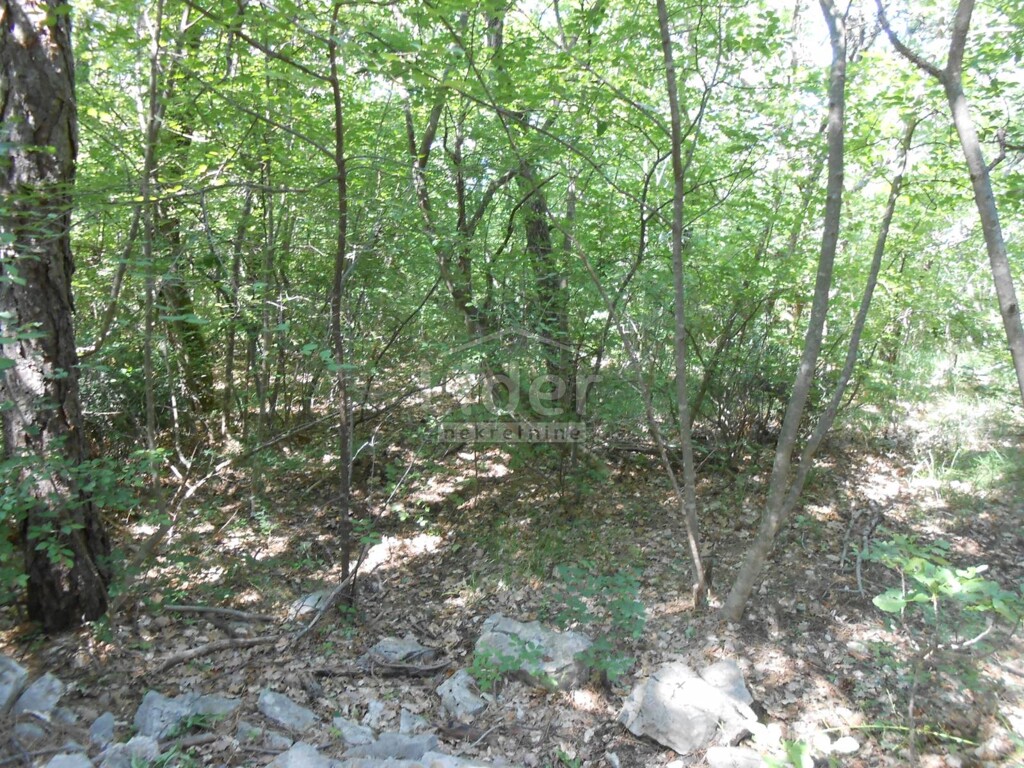 Image 5415721 - 3