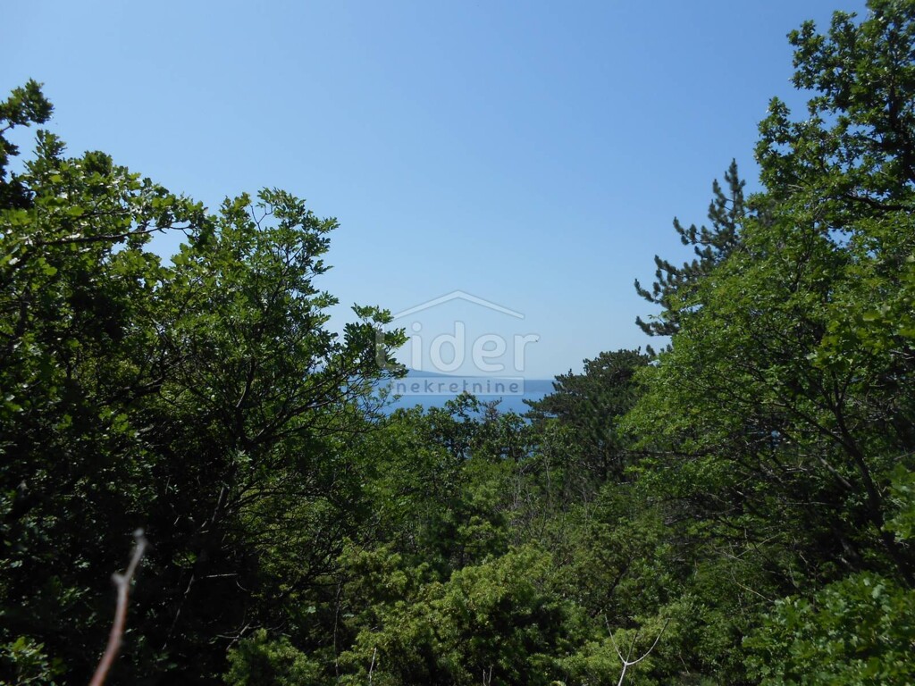 Image 5415721 - 1