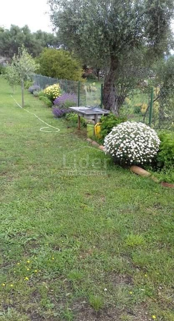 Image 5416578 - 14