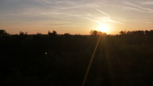 Thumbnail 5416582 - 8