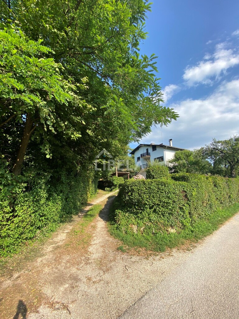 Image 5416902 - 1