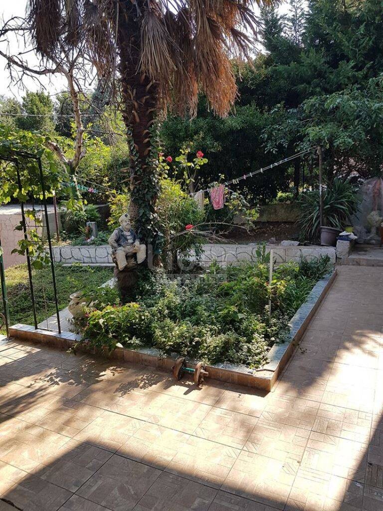 Image 5418669 - 2