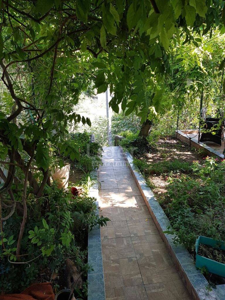 Image 5418669 - 3