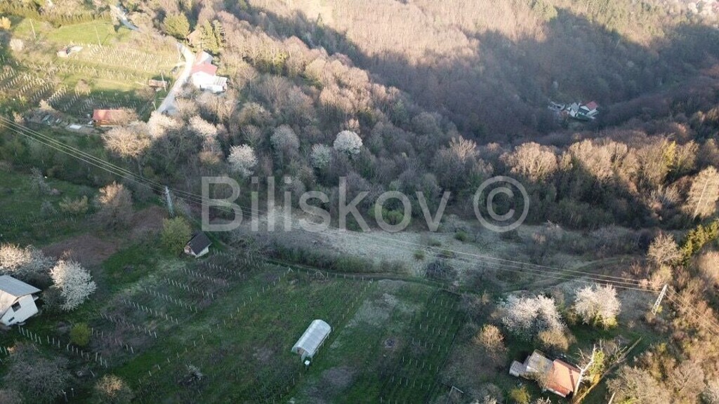 Image 5418768 - 1