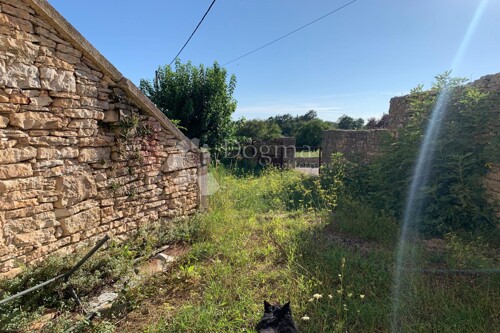 Thumbnail 5419785 - 14