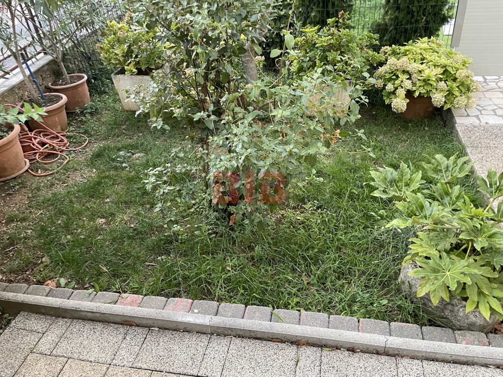 Image 5422561 - 26