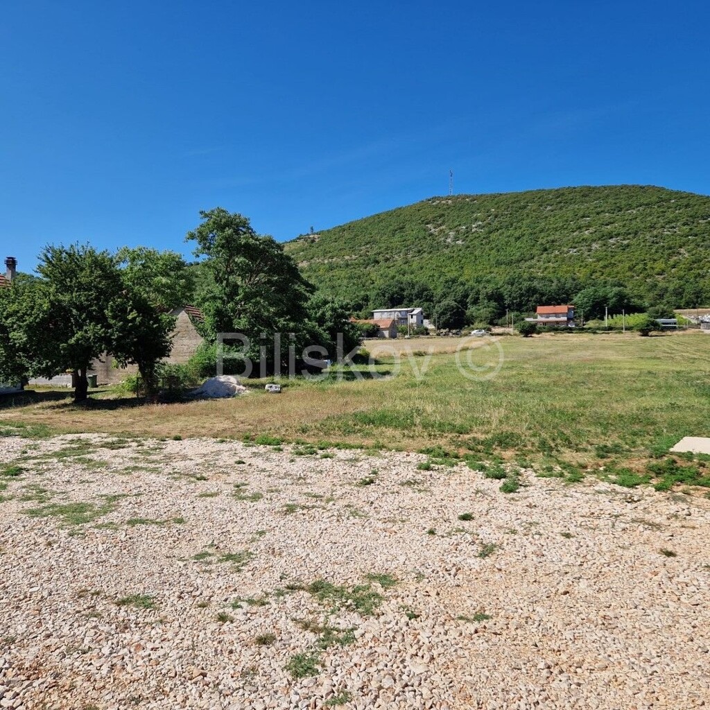 Image 5423068 - 1