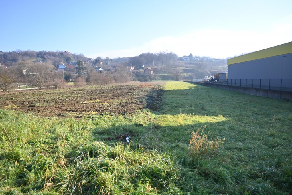 Image 5424029 - 5