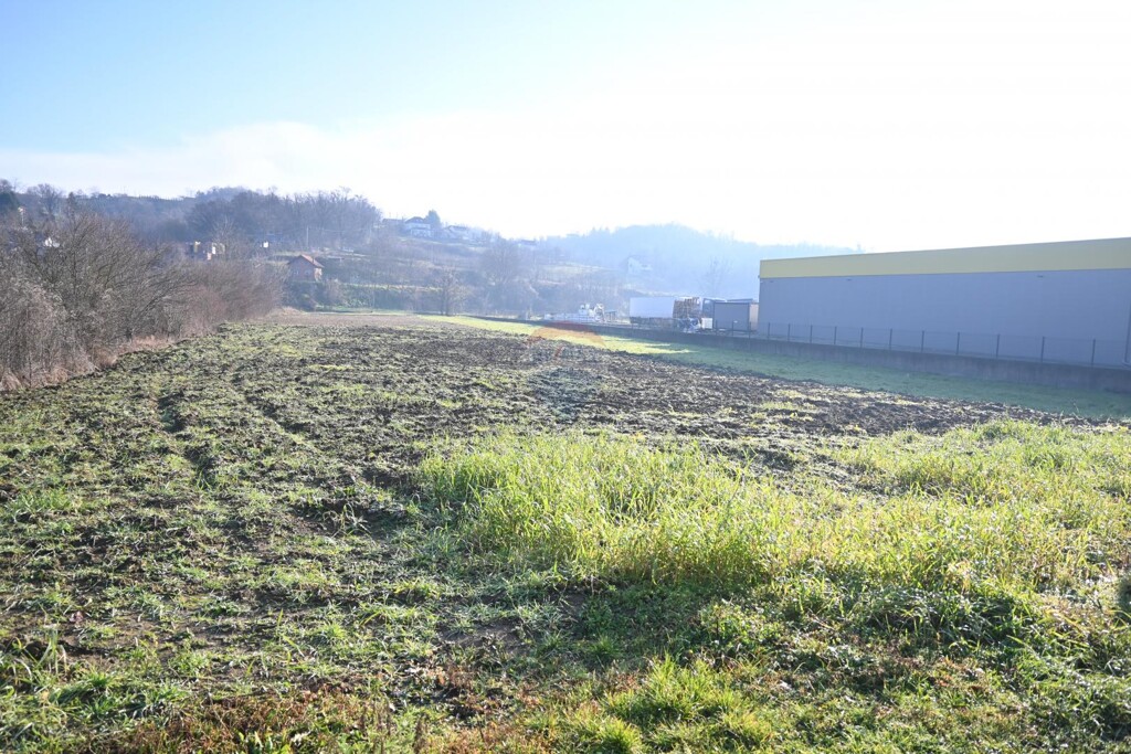 Image 5424029 - 3