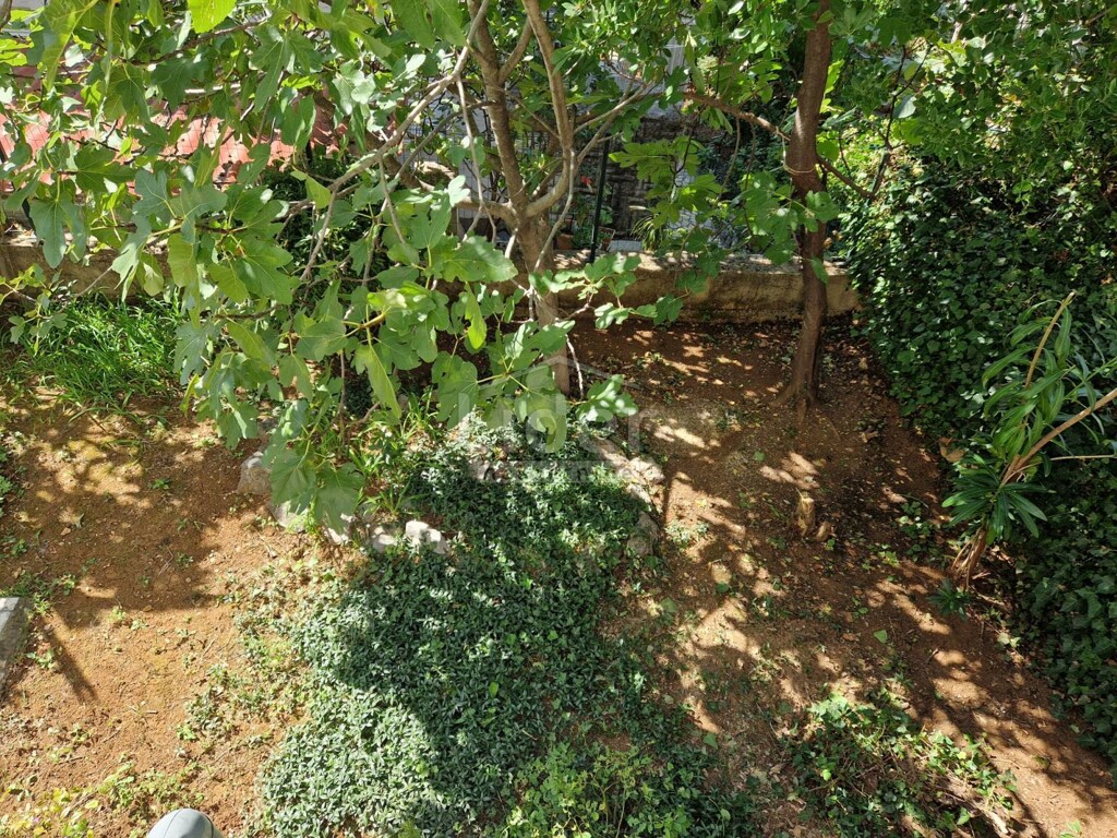 Image 5425237 - 14
