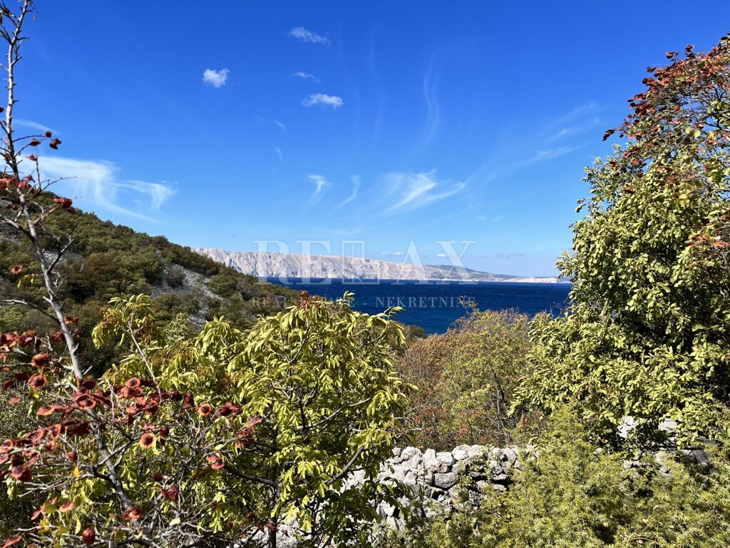 Image 5425438 - 4
