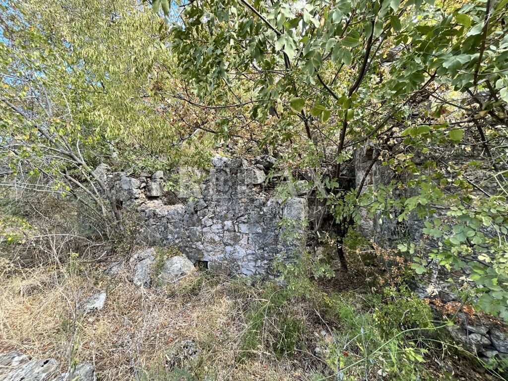 Image 5425438 - 5