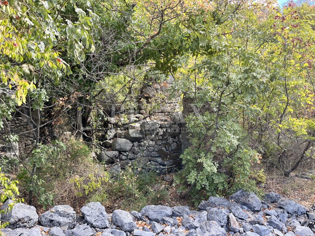 Image 5425439 - 15