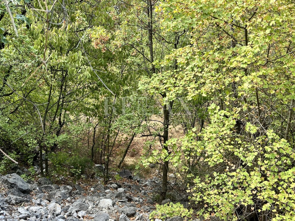 Image 5425439 - 18