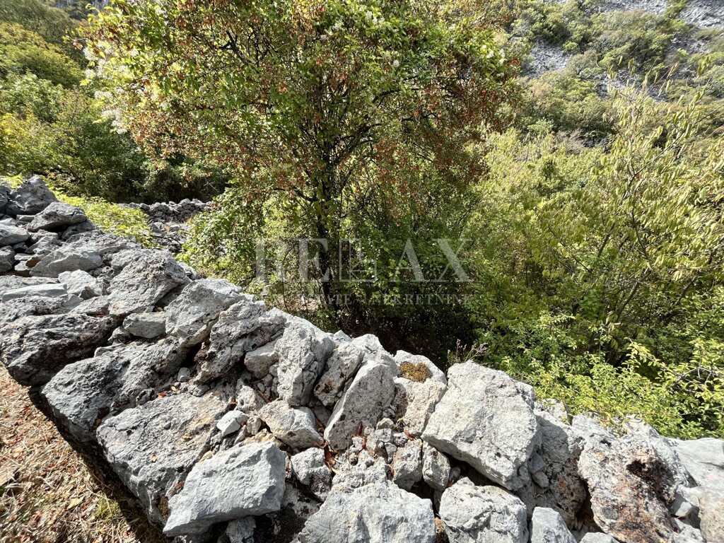 Image 5425439 - 5