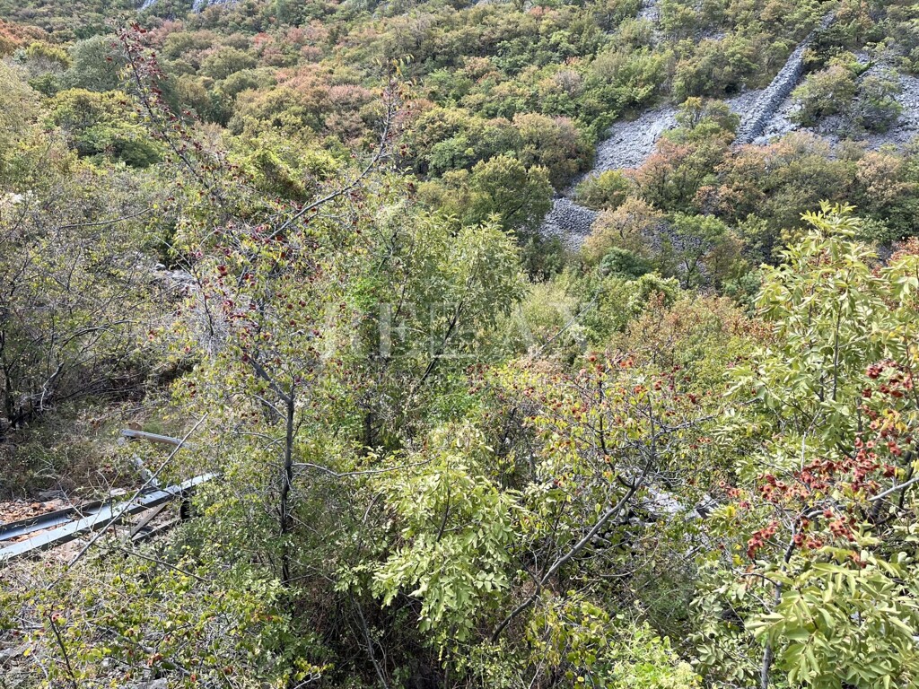 Image 5425439 - 22