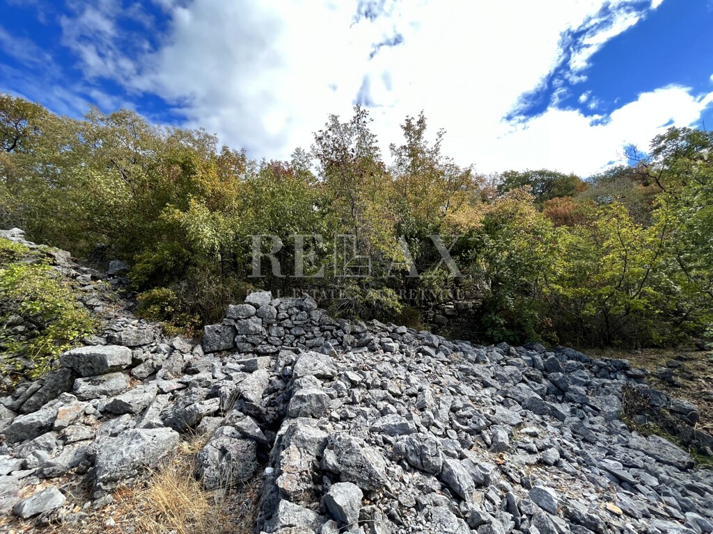 Image 5425439 - 9