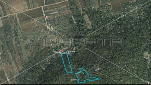 Thumbnail 5425461 - 3