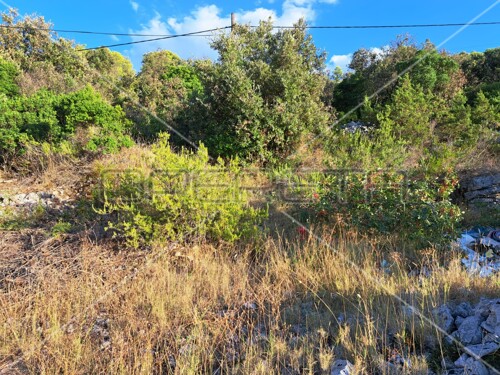 Thumbnail 5425461 - 2