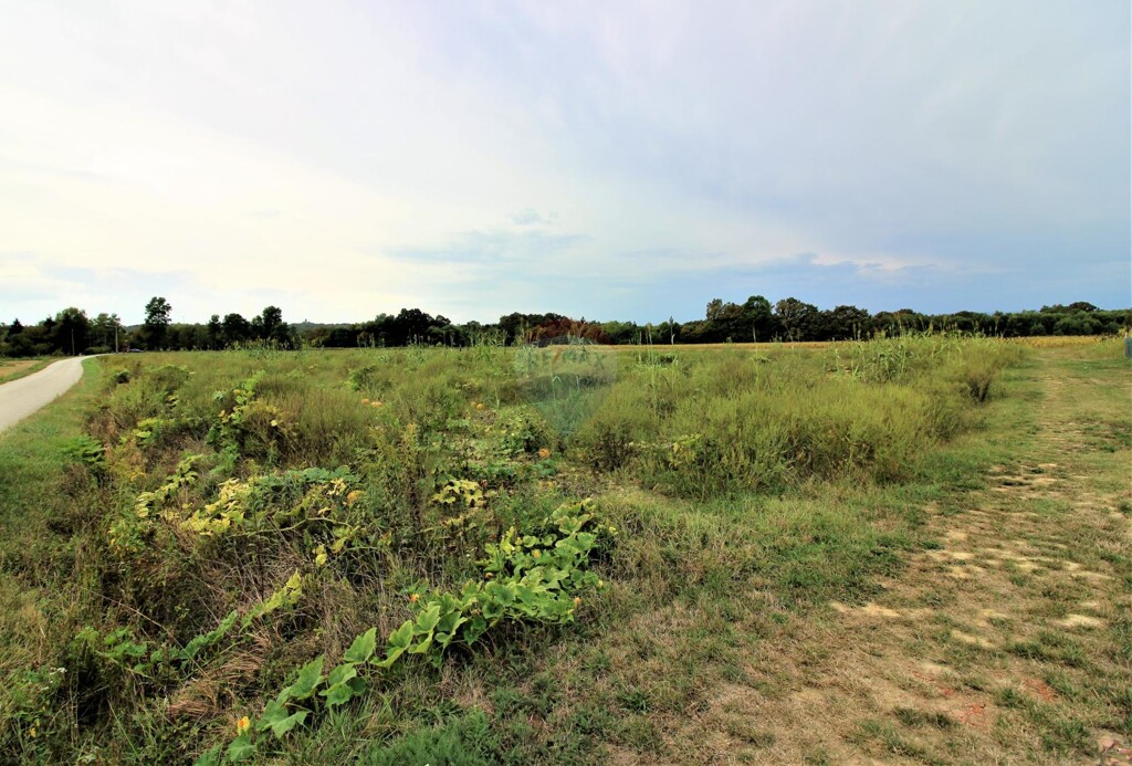 Image 5426700 - 3