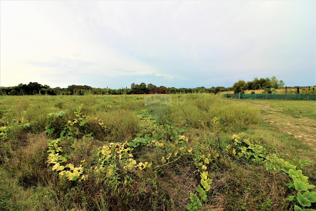 Image 5426702 - 3