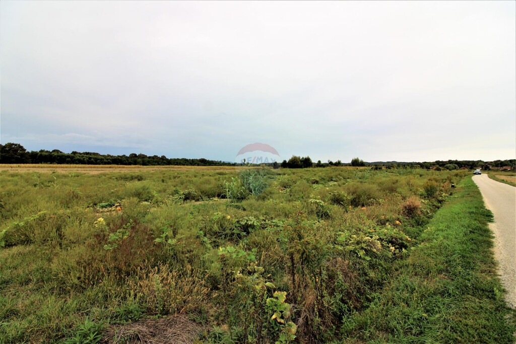 Image 5426705 - 3