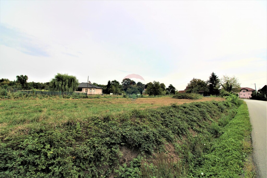 Image 5426709 - 2