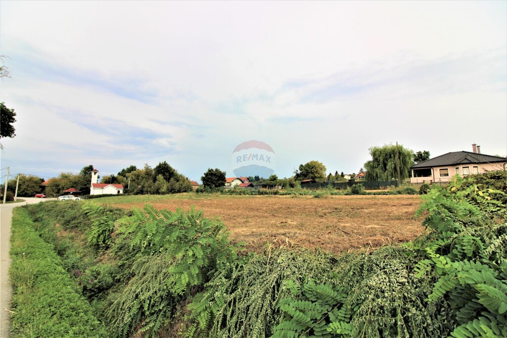 Image 5426709 - 1