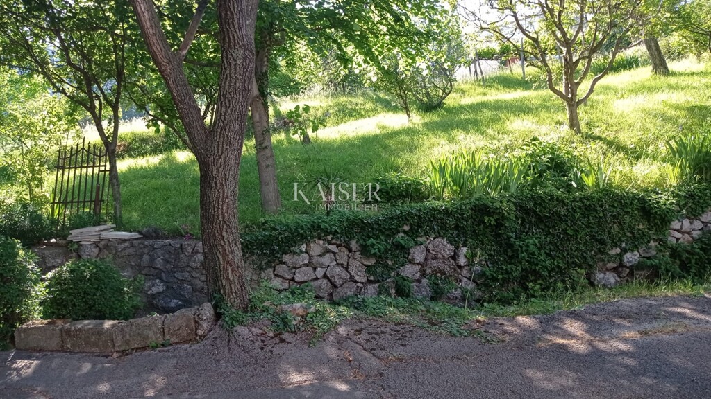 Image 5427977 - 5