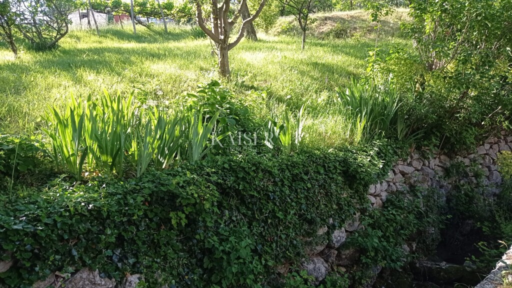 Image 5427977 - 4