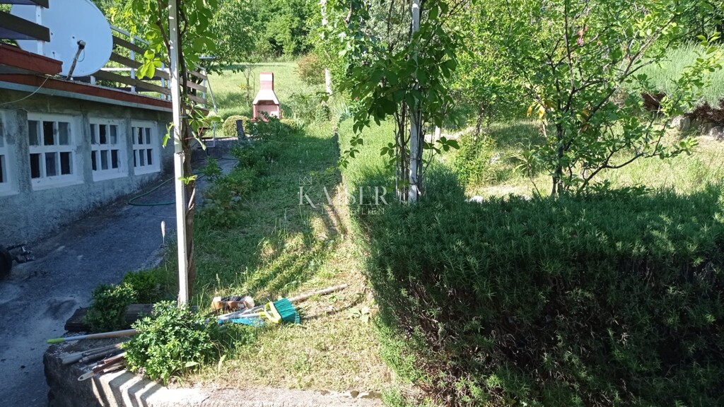 Image 5427977 - 13