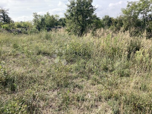 Thumbnail 5428184 - 4