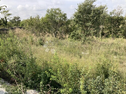 Thumbnail 5428184 - 3