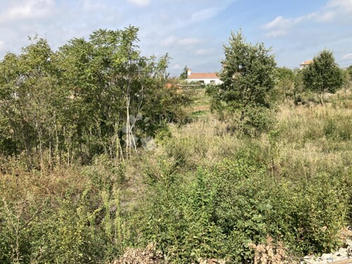 Thumbnail 5428184 - 2