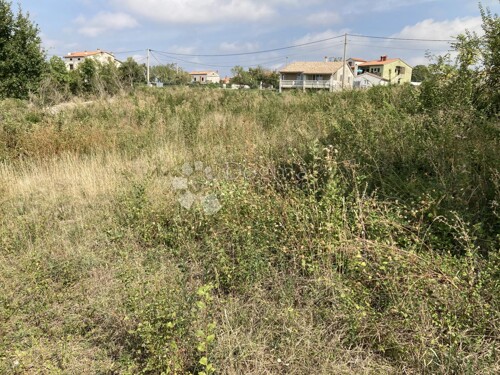 Thumbnail 5428184 - 1