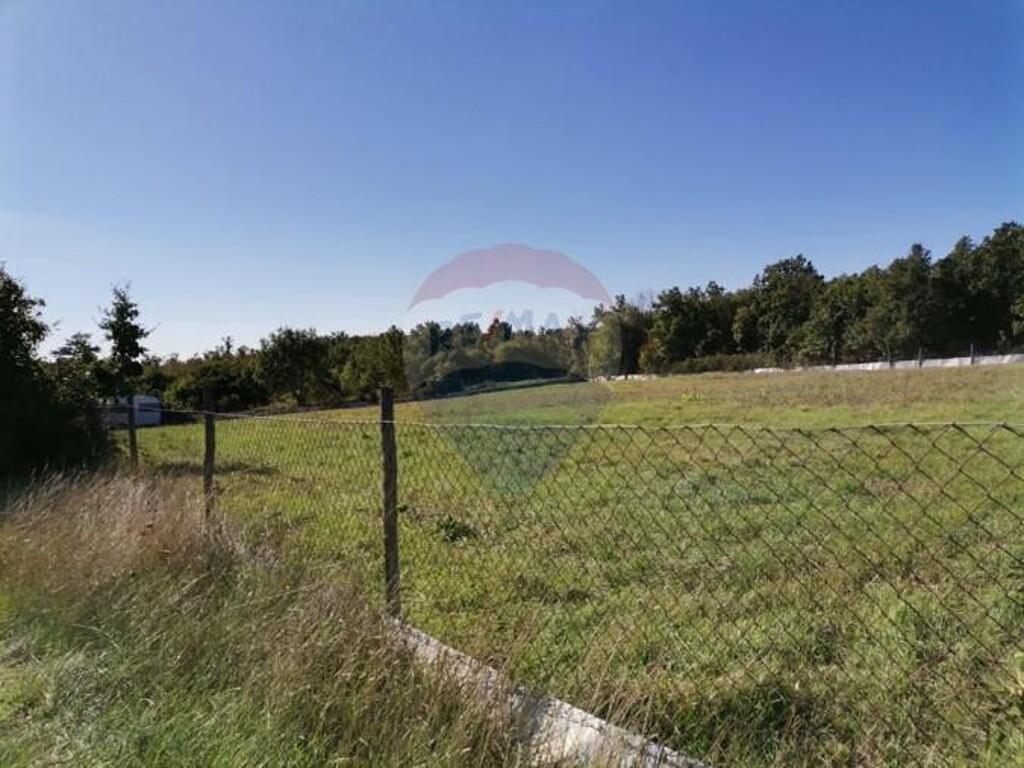 Image 5429129 - 1